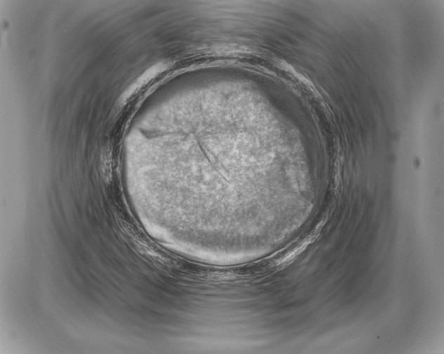 X0000085751306200704131700