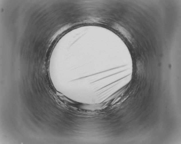 X0000085751308200704131700