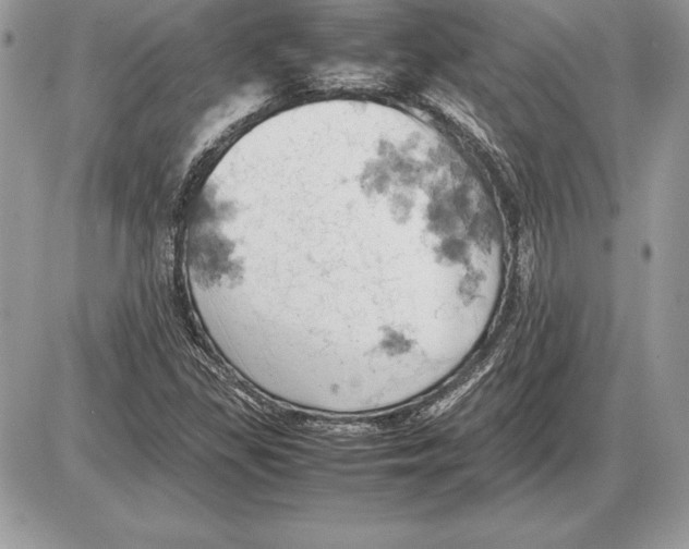 X0000085751309200704131700