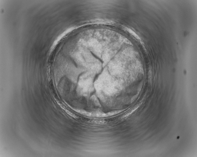 X0000085751310200704131700