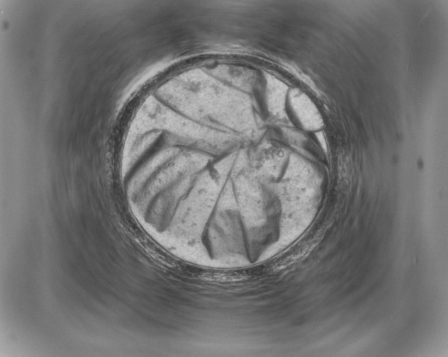 X0000085751311200704131700