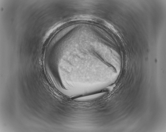 X0000085751312200704131700