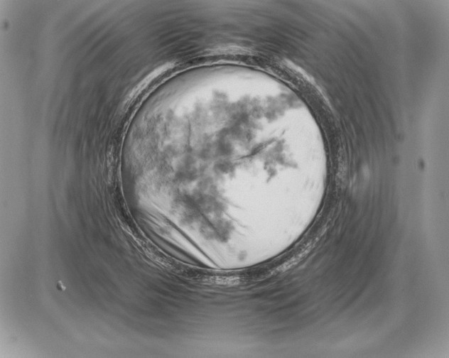 X0000085751313200704131700