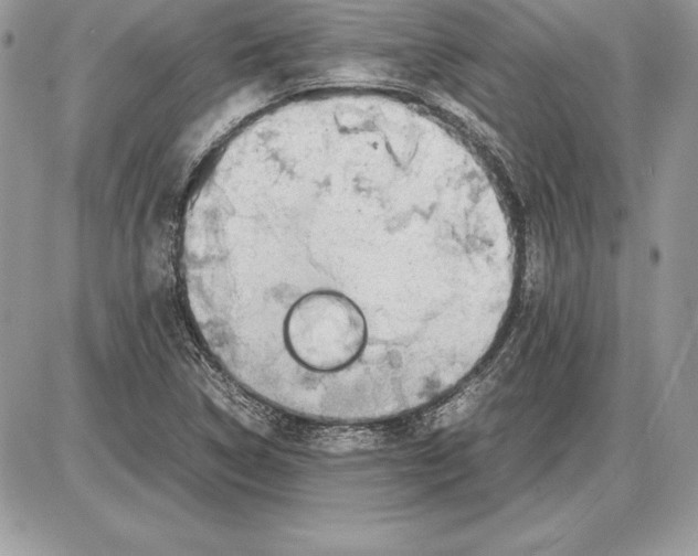 X0000085751314200704131700