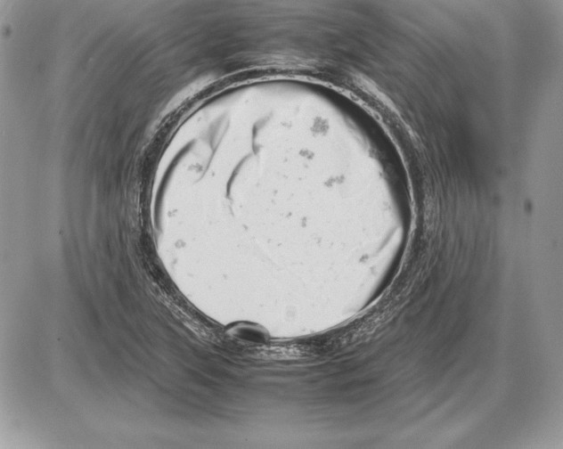 X0000085751315200704131700