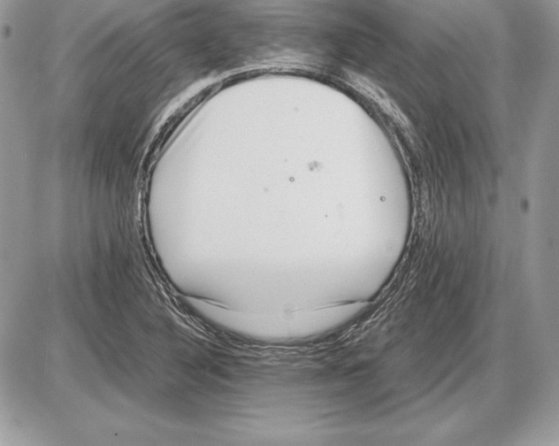 X0000085751316200704131700