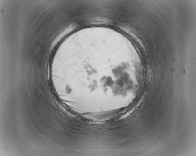 X0000085751317200704131700