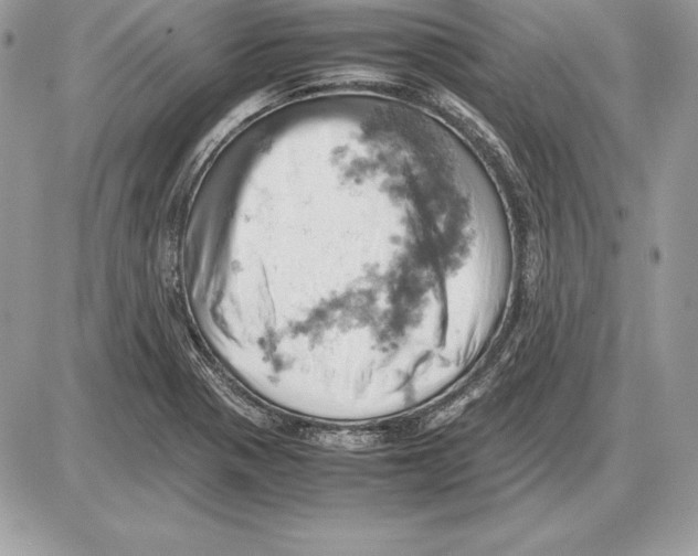 X0000085751321200704131700