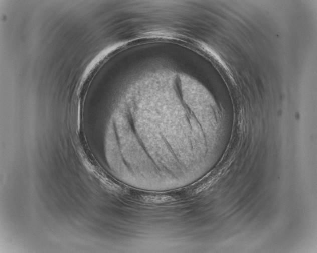 X0000085751323200704131700