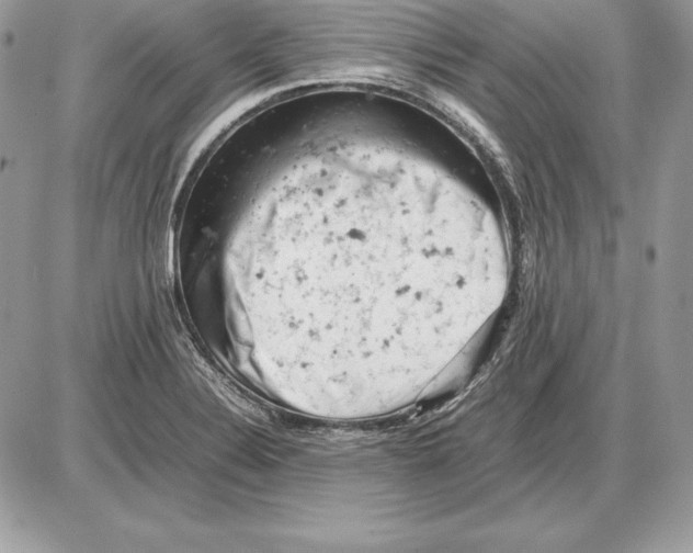 X0000085751324200704131700