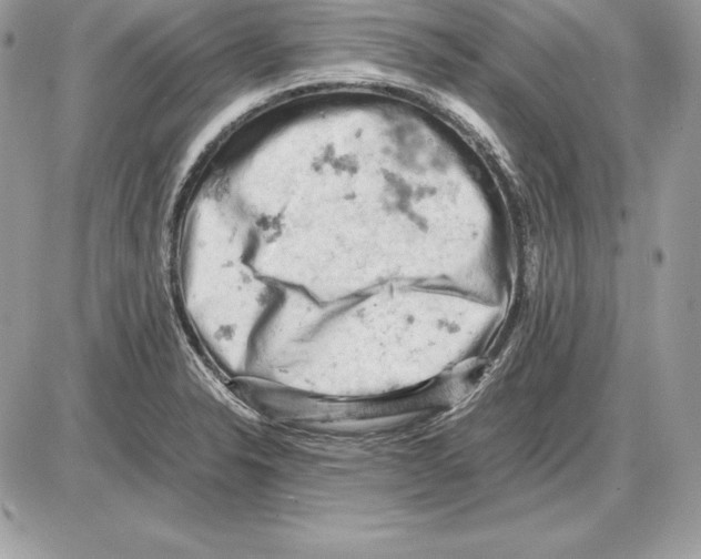 X0000085751326200704131701