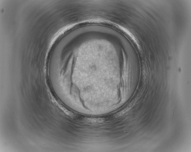 X0000085751327200704131701