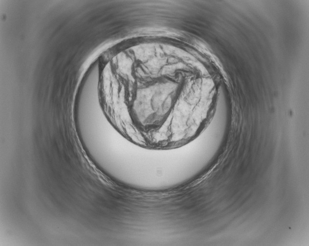 X0000085751328200704131701