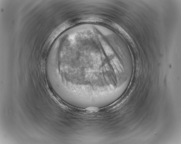 X0000085751329200704131701