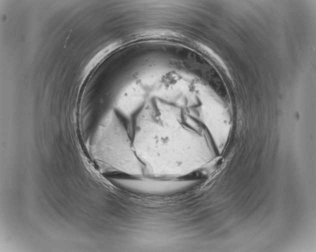 X0000085751330200704131701