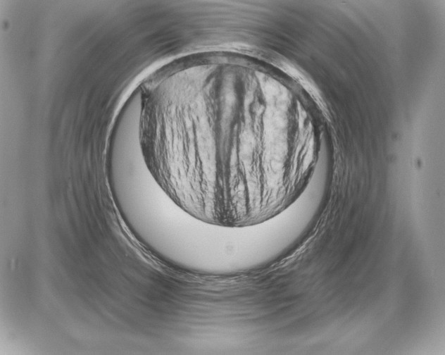 X0000085751332200704131701