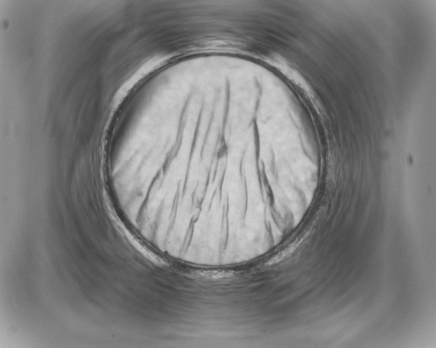 X0000085751333200704131701