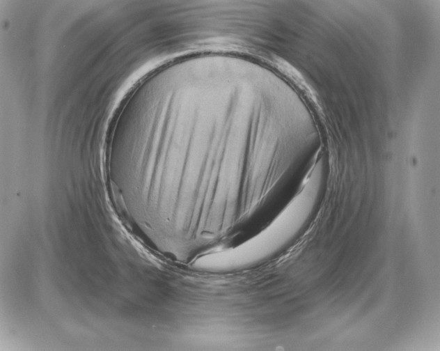 X0000085751334200704131701