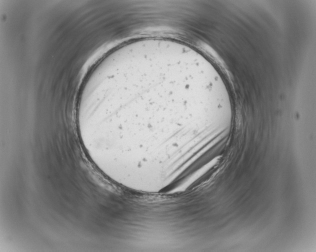 X0000085751336200704131701