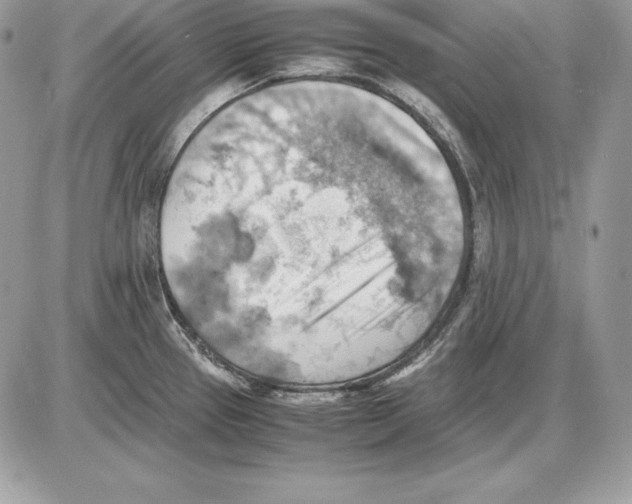 X0000085751337200704131701