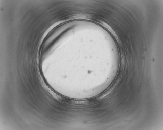 X0000085751339200704131701