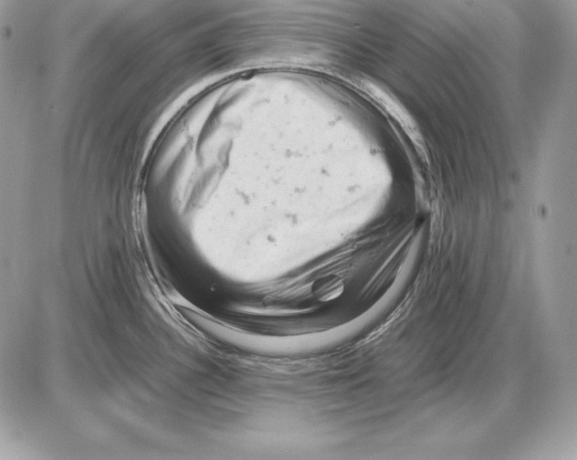 X0000085751340200704131701