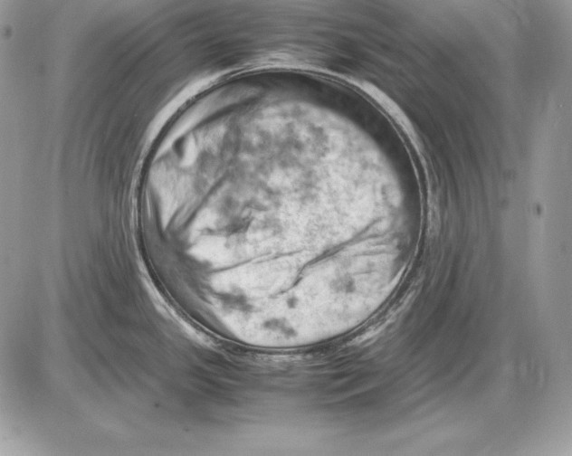 X0000085751341200704131701