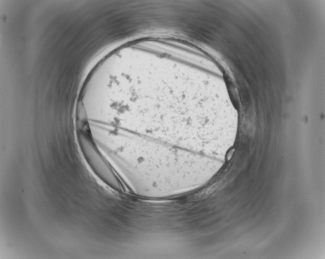 X0000085751343200704131701