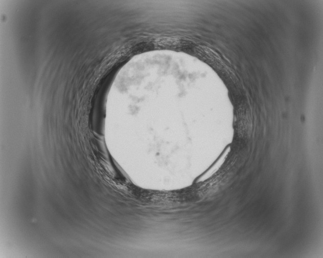 X0000085751345200704131700