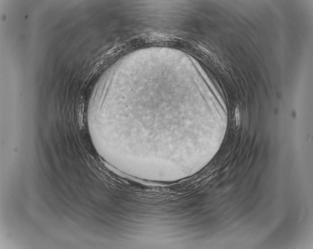 X0000085751348200704131700