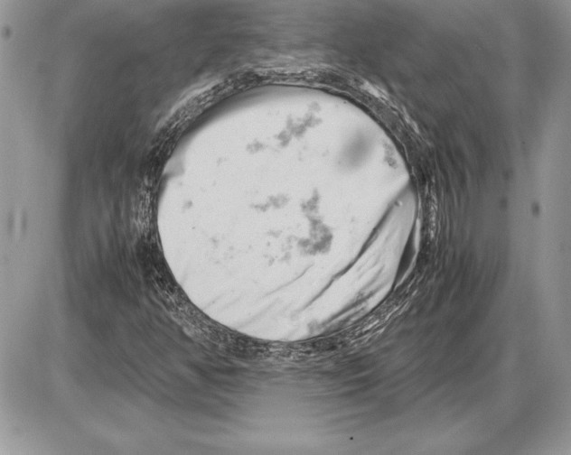 X0000085751350200704131700