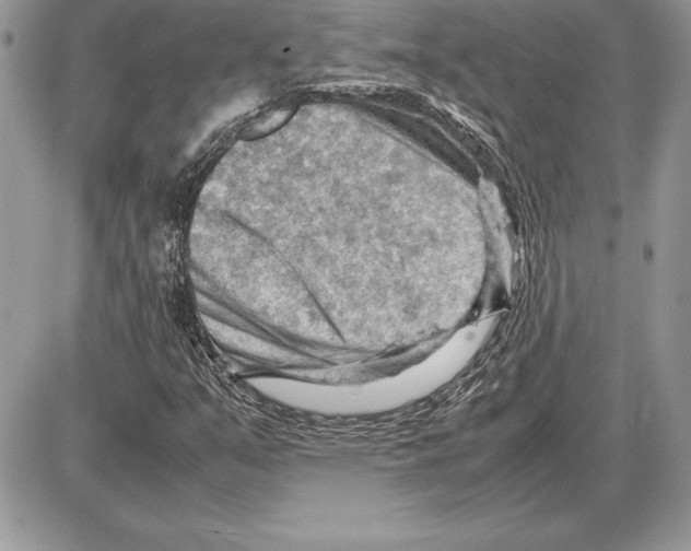 X0000085751351200704131700