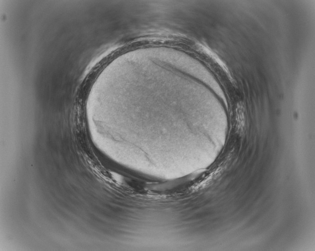 X0000085751352200704131700