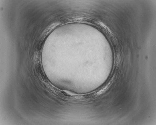 X0000085751353200704131700