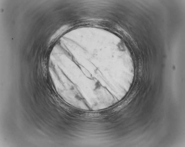 X0000085751354200704131700