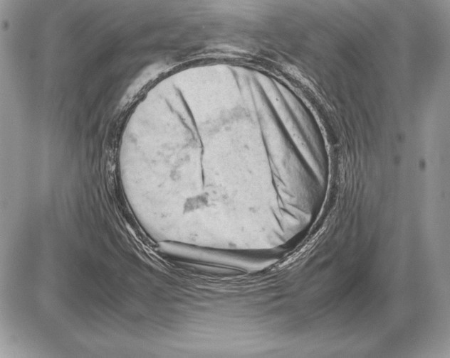 X0000085751355200704131700