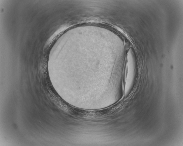 X0000085751359200704131700