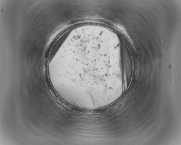 X0000085751360200704131700