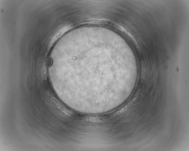 X0000085751362200704131700