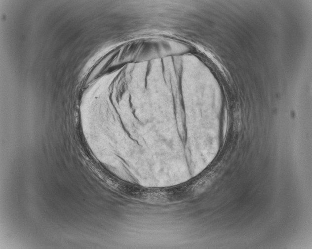 X0000085751363200704131700