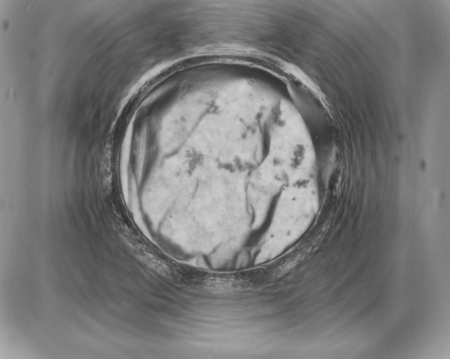 X0000085751364200704131700