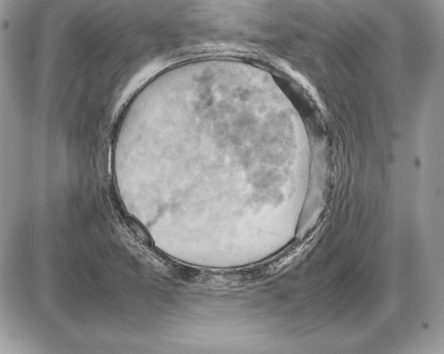 X0000085751365200704131700