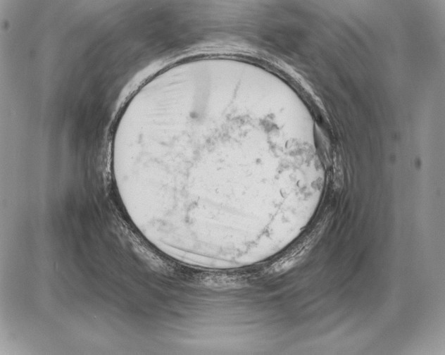 X0000085751366200704131700