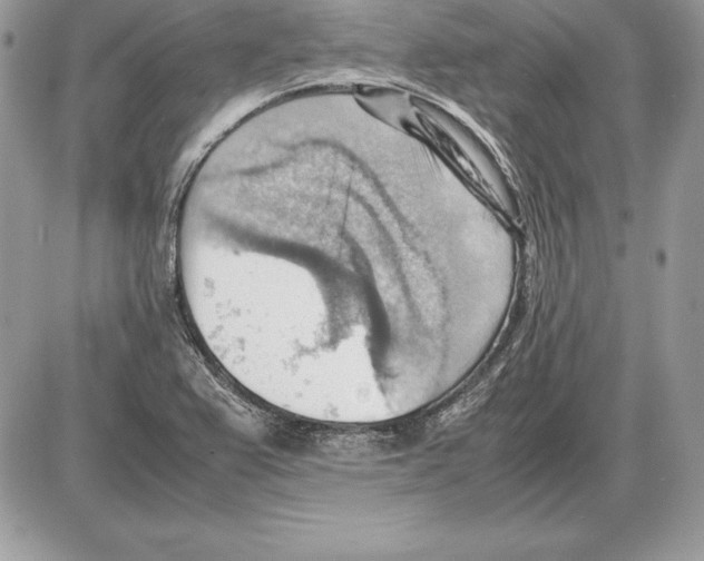 X0000085751367200704131700