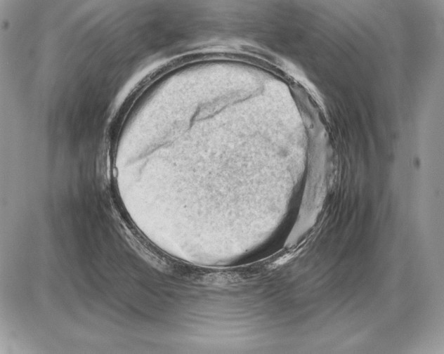 X0000085751368200704131700