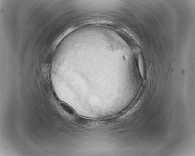 X0000085751369200704131700