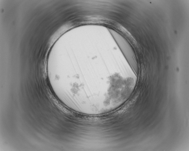 X0000085751370200704131700