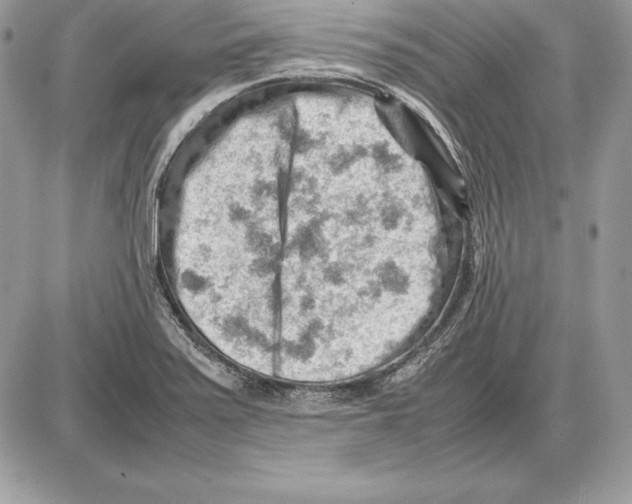 X0000085751371200704131700