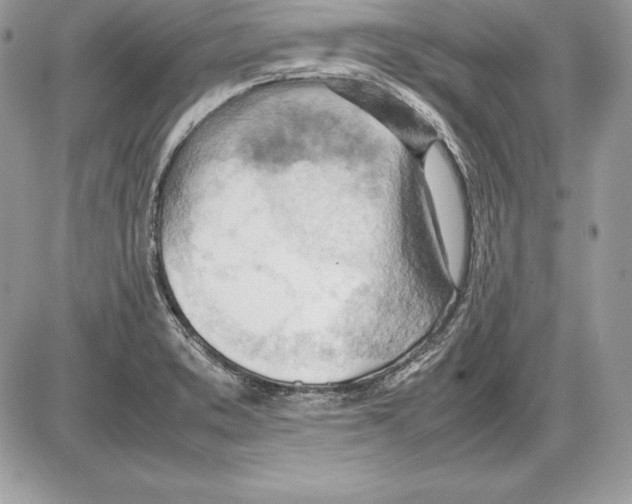 X0000085751373200704131659