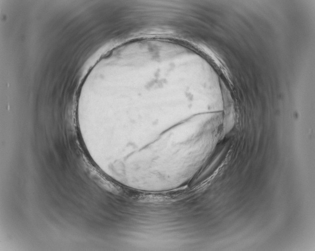 X0000085751374200704131659